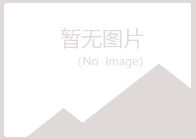 高州夜山化学有限公司